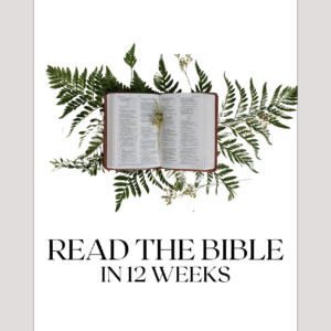 Read The Bible In 12 Weeks Planner