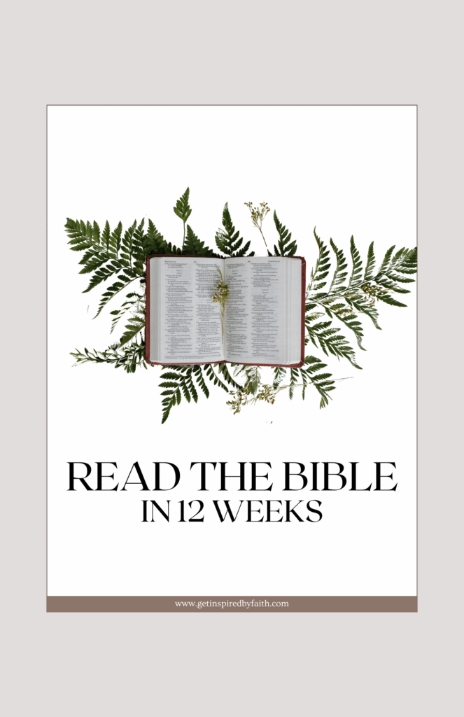 Read The Bible In 12 Weeks Planner